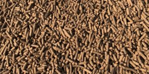 16mm Biomass Wood Pellet