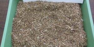 Natural Brown Coriander Husk