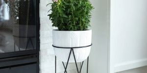 BLACK STAND WITH WHITE ETCHED POT