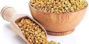 Fenugreek Seed