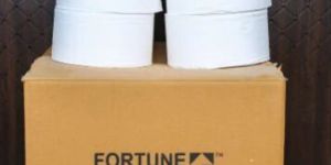 Jumbo Toilet Paper Roll