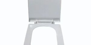 Parryware Soft Close Toilet Seat Cover