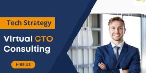 Virtual CTO Services