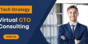 Virtual CTO Services in India