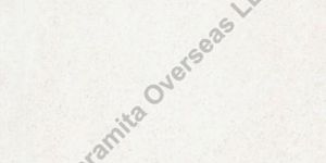 White Double Charged Vitrified Floor Tiles