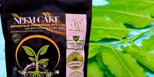 Bioantilia Neem Cake Powder
