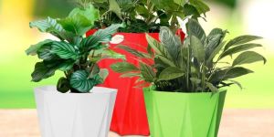 Diamanti Plastic Pot