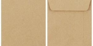 Brown Paper Envelope