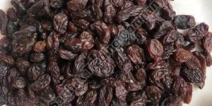 Dark Brown Dried Raisin