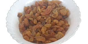 Dried Brown Raisin