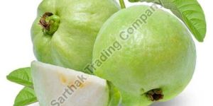 Fresh Green Guava