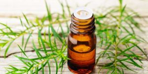 Tea Tree Oil