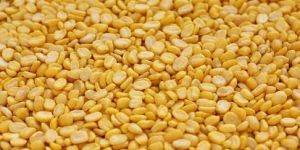 Yellow Mung Dal