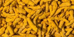 Turmeric Finger