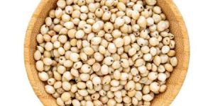 Sorghum Millet