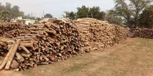 Round Firewood