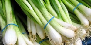 Green Onion