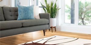 Siriol Hand Tufted Rug