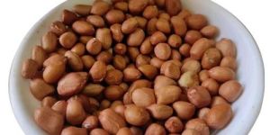 Polished Groundnut Seeds