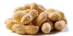 Shelled Peanuts