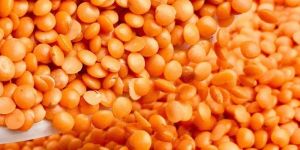 Red Masoor Dal