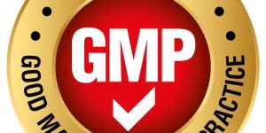 GMP Certification Service