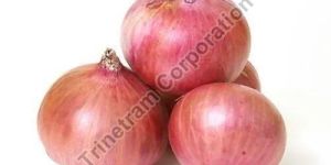 Fresh Pink Onion