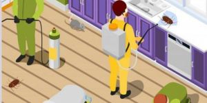 Anti Termite Soil Treatment Services