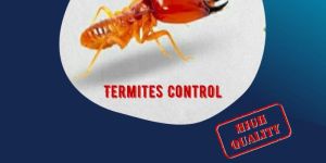 Termite Control Services