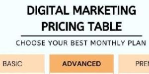 Website Management Service