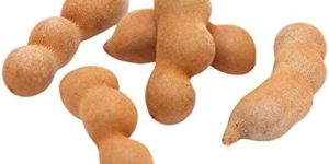 Fresh Tamarind