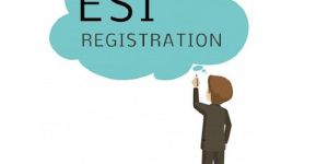 Esi Registration Service