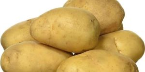 Fresh Potato