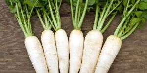 Fresh Radish