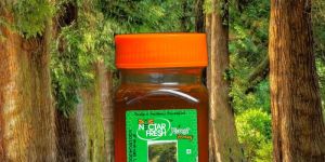 Nectar Fresh Forest Honey