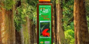 Nectar Fresh Forest Honey