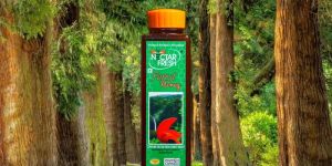 Nectar Fresh Forest Honey