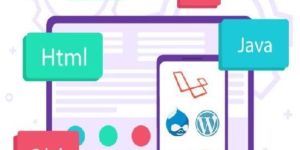 Software Development Service