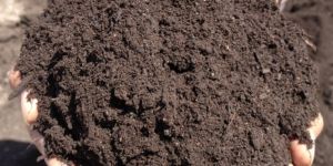 Bio Organic Fertilizer