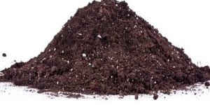 Powder Organic Fertilizer