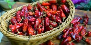 Dried Red Chilli
