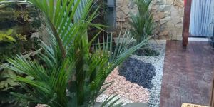 Tons and Plant Garden