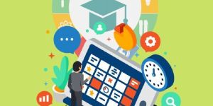 Software Application Services