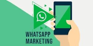 WhatsApp Marketing Service
