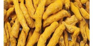 Natural Turmeric Finger