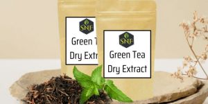 Green Tea Dry Extract