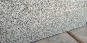 P White Granite Slab