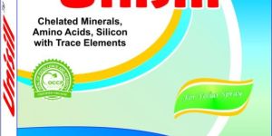 Duplex Box Printing Services