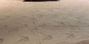 Multicolor Printed Cotton Bedsheets