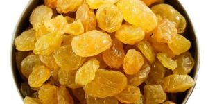 Golden Raisin